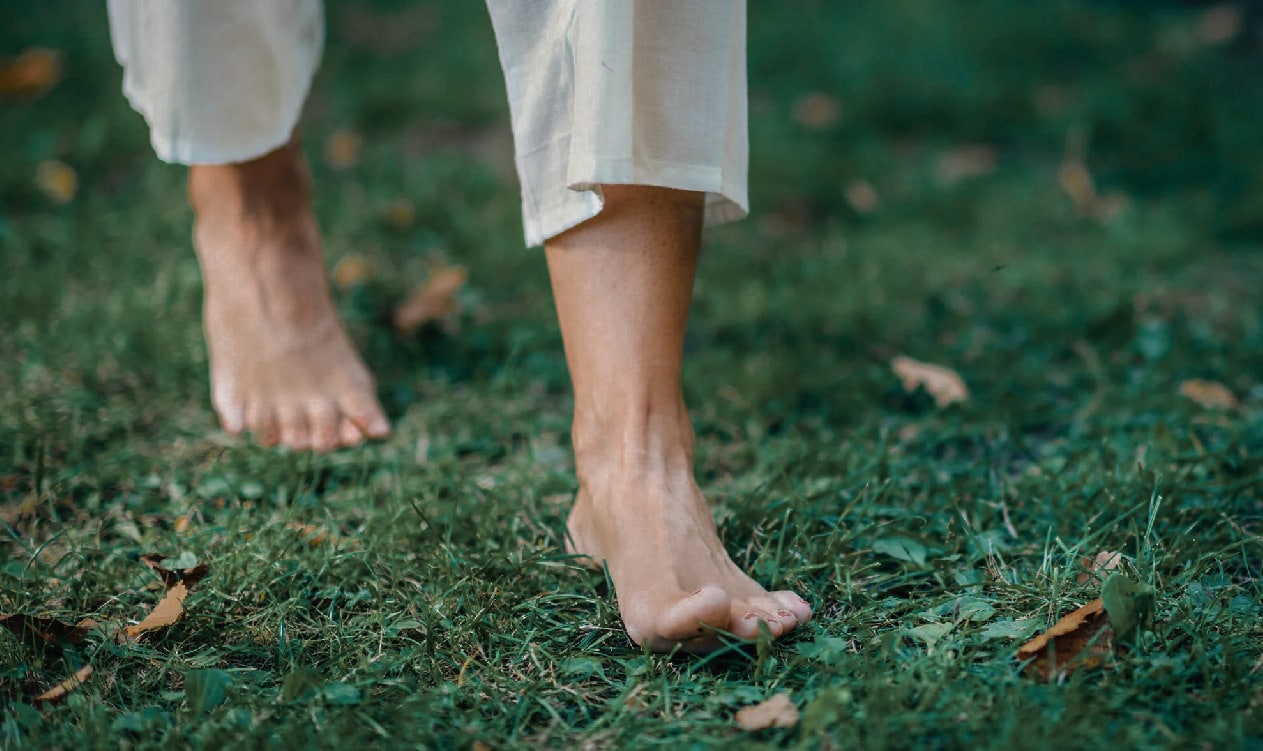 Grounding_BANNER PRINCIPAL
